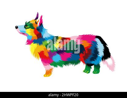 Abstrakt Pembroke Welsh Corgi aus bunten Farben. Farbige Zeichnung. Vektordarstellung von Farben Stock Vektor