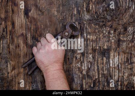 Die Hand eines Mannes hält alte eiserne Zangen vor einem dunklen hölzernen Hintergrund. Rissige Holzoberfläche mit Rissen und Spänen. Selektiver Fokus. Stockfoto