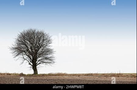 Winter in Dänemark. Ein Foto der Winterlandschaft. Stockfoto