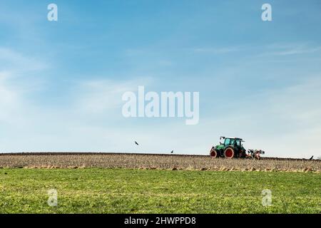 Traktor auf dem Feld unter blauem Himmel Stockfoto