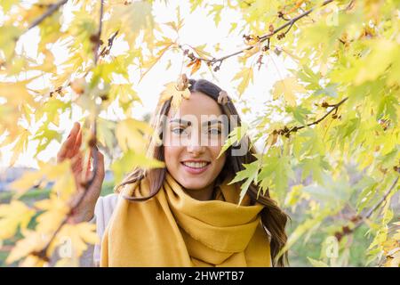 Schöne junge Frau durch gelbe Herbstblätter im Park gesehen Stockfoto