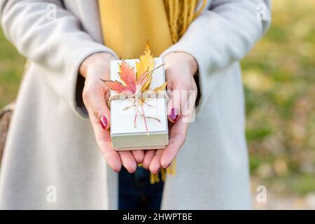 Hände der Frau halten kleine Geschenkbox mit Herbstblatt im Park Stockfoto