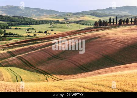 Komplexe und komplizierte Landschaftsgestaltung von Feldern in der Toskana. Val d'Orcia, Italien Stockfoto