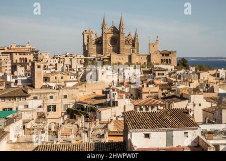 Spanien, Balearen, Palma de Mallorca, Altstadthäuser mit Kathedrale von Palma im Hintergrund Stockfoto