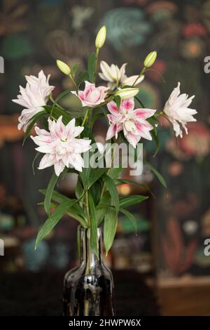 Blühende und aufkeimende Elodie-Lilien in Vase Stockfoto