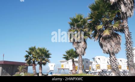 Rettungsschwimmerstand und Palme, Rettungsschwimmerturm zum Surfen am kalifornischen Strand. Sommer pazifik in den USA. Rettungsstation, Küstenretter Wachtower Hütte oder Haus auf See. Nahtloser Cinemagraph mit Schleife Stockfoto