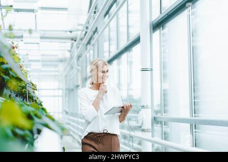Biologe mit Tablet-PC in der Pflanzenkinderei Stockfoto