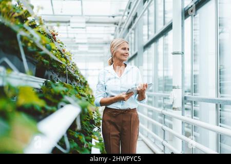 Kontemplativer Biologe mit Tablet-PC in der Pflanzenkinderei Stockfoto