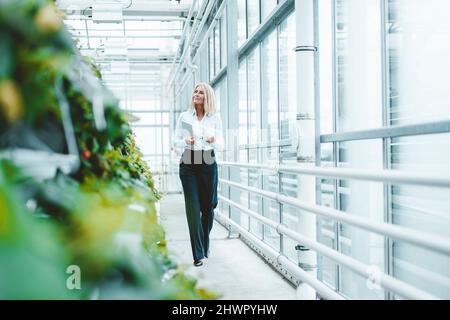 Biologe analysiert Pflanzen im Gewächshaus-Labor Stockfoto