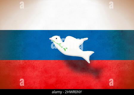 Russland Flagge und weiße Taube des Friedens. Kein Kriegskonzept-Hintergrund. Stockfoto