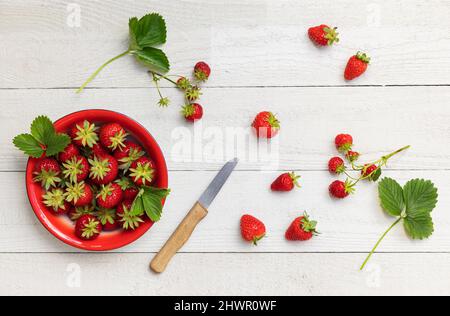 Studioaufnahme einer Schüssel mit reifen frisch gepflückten Erdbeeren Stockfoto