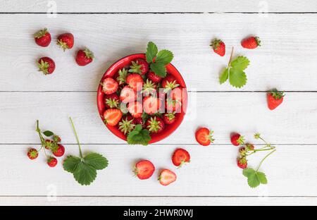 Studioaufnahme einer Schüssel mit reifen frisch gepflückten Erdbeeren Stockfoto