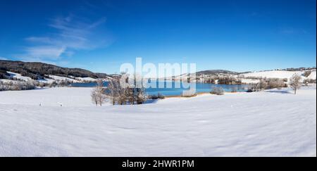 Österreich, Oberösterreich, Zell am Moos, schneebedecktes Ufer des Irrsees Stockfoto