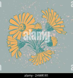 Attraktiv arrangierte Blumenstrauß. Gezeichnete Chrysanthemum Blumen künstlerische Vektor-Illustration. Blumen botanische Hochzeit Ornament trendige Muster des Stock Vektor