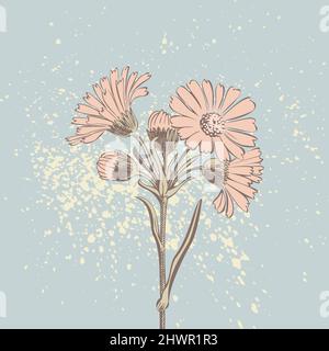 Attraktiv arrangierte Blumenstrauß. Gezeichnete Chrysanthemum Blumen künstlerische Vektor-Illustration. Blumen botanische Hochzeit Ornament trendige Muster des Stock Vektor