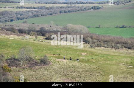 Brighton UK 7. March 2022 - Hundewanderer genießen einen sonnigen, aber kühlen Morgen auf den South Downs auf dem alten Golfplatz Waterhall, der nördlich von Brighton aufgehalten wurde : Credit Simon Dack / Alamy Live News Stockfoto