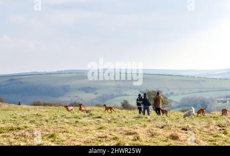 Brighton UK 7. March 2022 - Hundewanderer genießen einen sonnigen, aber kühlen Morgen auf den South Downs am Devils Dyke nördlich von Brighton : Credit Simon Dack / Alamy Live News Stockfoto