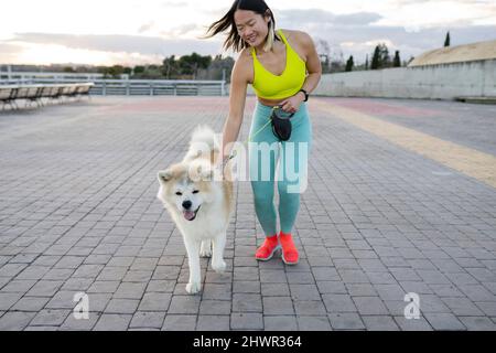 Lächelnder, sportlicher Hund, der auf dem Fußweg läuft Stockfoto