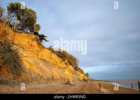 Auswirkungen der Küstenerosion Bawdsey Ferry Suffolk UK Stockfoto