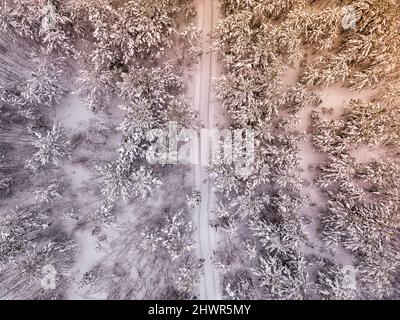 Luftaufnahme des schneebedeckten Waldes Stockfoto