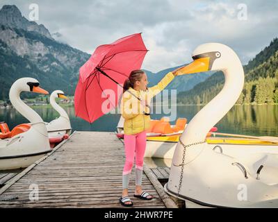 Mädchen hält einen roten Regenschirm und berührt den Schnabel des Schwans auf dem Steg Stockfoto