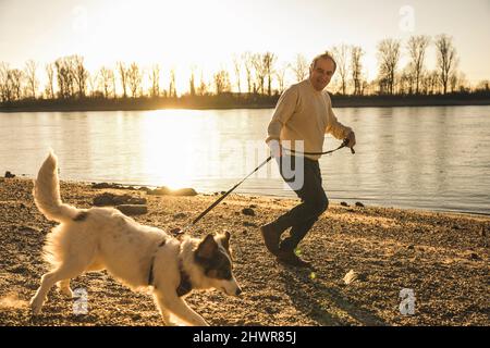 Glücklicher älterer Mann, der bei Sonnenuntergang am Strand mit Hund an der Tierleine läuft Stockfoto