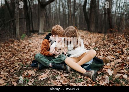 Bruder und Schwester sitzen mit goldenem Retriever-Welpe auf Herbstblättern Stockfoto