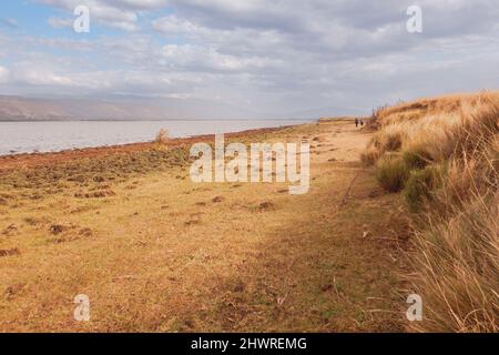 Panoramablick auf den Olbolosat-See in Nyahururu, Kenia Stockfoto