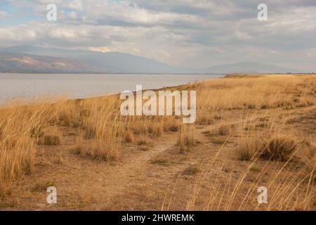 Panoramablick auf den Olbolosat-See in Nyahururu, Kenia Stockfoto