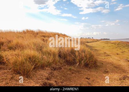 Panoramablick auf den Olbolosat-See in Nyahururu, Kenia Stockfoto