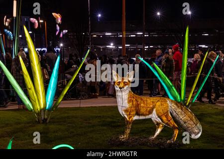 Das Light Up Leicester Festival 2022, das die Straßen von Leicester mit kostenlosen interaktiven Kunstwerken und Unterhaltung beleuchtet. Stockfoto