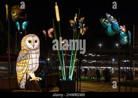 Das Light Up Leicester Festival 2022, das die Straßen von Leicester mit kostenlosen interaktiven Kunstwerken und Unterhaltung beleuchtet. Stockfoto