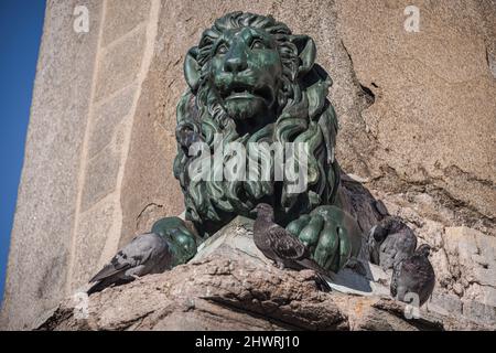 Löwenskulptur auf Arles Obelisk (Obelisque d'Arles), Arles, Provence, Frankreich Stockfoto