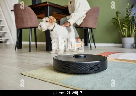 Nahaufnahme des Roboter-Staubsaugers im Smart Home mit Hund im Hintergrund, Platz zum Kopieren Stockfoto
