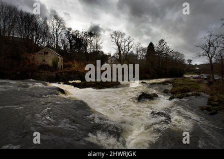 Cenarth fällt Kaskade nach Sturm Fluss Teifi Ceridigion Wales Großbritannien stürmischen dramatischen Himmel Natur in voller Flut kopieren Raum Lachs laichen Seefahrt Winter Stockfoto