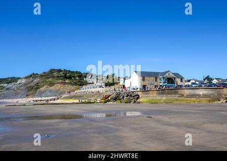 Vorhore bei Ebbe und Heritage Coast Center in Charmouth, Dorset, England, Großbritannien Stockfoto