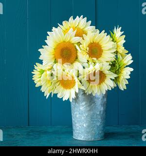 Schönes Bouquet von Jade Sonnenblumen in einer verzinkten Dose. Stockfoto