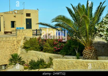 Alicante, Spanien - Juli 17 2019: Einige Burggebäude hinter grünen Palmen aus dem Castillo de Santa Bárbara in Alicante unter blauem, sonnigem Himmel. Valenci Stockfoto