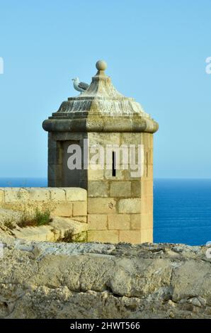 Alicante, Spanien - 17 2019. Juli: Eine Möwe sitzt auf einem Burgturm des castillo de Santa Bárbara in Alicante und überblickt das Mittelmeer unter Clea Stockfoto