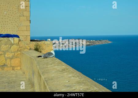 Alicante, Spanien - Juli 17 2019: Blick vom Castillo de Santa Bárbara auf das Mittelmeer vor Alicante. An der Burgmauer sitzt ein Seagu Stockfoto