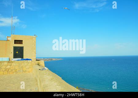 Alicante, Spanien - Juli 17 2019: Blick vom Castillo de Santa Bárbara auf das Mittelmeer vor Alicante. An der Burgmauer sitzt ein Seagu Stockfoto