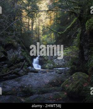 Kaskade in der Ravennaschlucht im Herbst Stockfoto