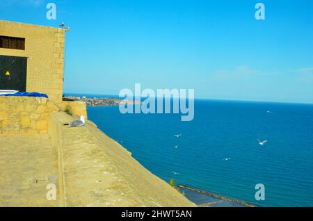 Alicante, Spanien - Juli 17 2019: Blick vom Castillo de Santa Bárbara auf das Mittelmeer vor Alicante. An der Burgmauer sitzt ein Seagu Stockfoto