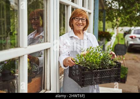 Jolly Senior Frau verkauft Pflanzen auf dem Land Stockfoto