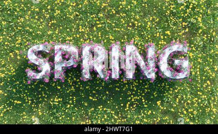 Frühlingsschild mit Blumen über einem Feld voller Blumen und grünem Gras. Frühlings-Ankunftskonzept. 3D Rendern Stockfoto