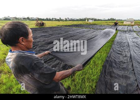 Vietnamesischer Arbeiter Färbet das Gewebe im traditionellen Prozess in Vietnam Stockfoto