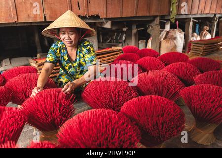 Räucherstäbchen Trocknen im Freien mit vietnamesischen Frau mit konischen Hut im Norden von Vietnam Stockfoto
