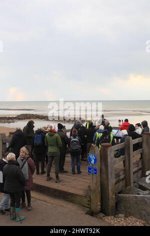 Gruppe von Einheimischen und Besuchern auf einer geführten Tour durch den Strand von Bulverhythe, die das Schiffswrack von Amsterdam und den alten Wald, Hastings, East Sussex, Großbritannien, erkundet Stockfoto