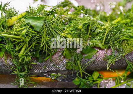 Forelle. In der polnischen Küche, auf dem polnischen Tisch. Forelle aus Familienfischen Salmonidae. Leckere Fische Süßwasserfische aus Nordpolen. Stockfoto