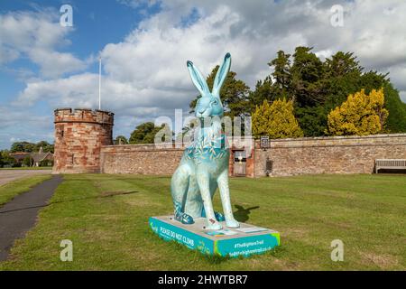 „Woodland Creatures“ der Künstlerin Lorraine Millar Dirleton Castle in East Lothian Stockfoto